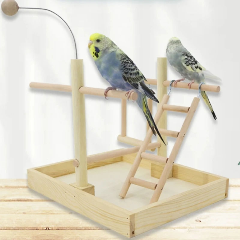 Budgies Cage Toy Ladder Stand Swing Parrots Swing Gym Toy Bridge Climbing Toy for Parakeets Cockatiel
Budgies Cage Toy Ladder Stand Swing Parrots Swing Gym Toy Bridge Climbing Toy for Parakeets Cockatiel