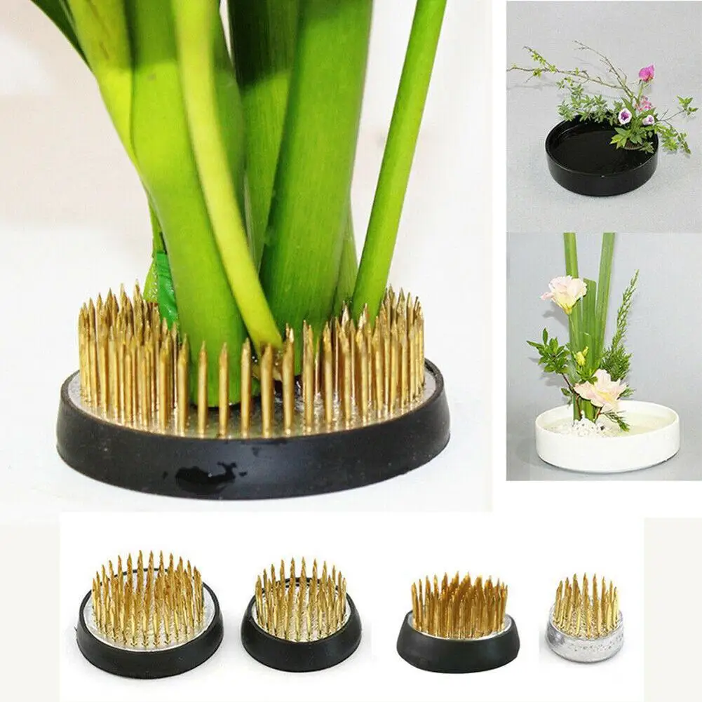 4 Sizes Ikebana Holder Pin Flowers Floral Decor Flower Arrangement Insert Base Pins Art Fixed Tool Ishizaki Kenzans Pin Art
4 Sizes Ikebana Holder Pin Flowers Floral Decor Flower Arrangement Insert Base Pins Art Fixed Tool Ishizaki Kenzans Pin Art