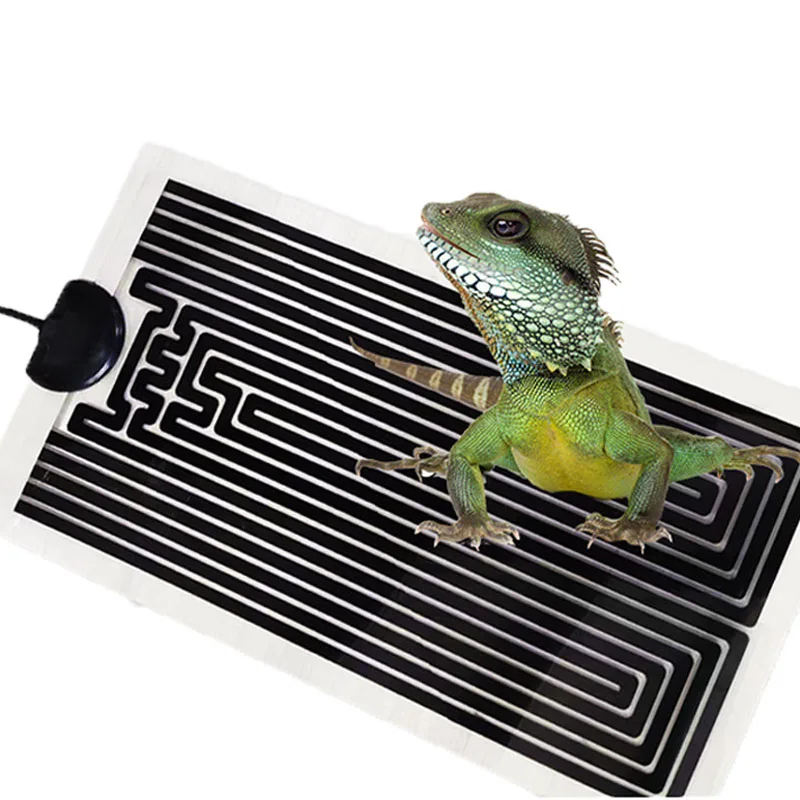 220-240v Thin Pet Heater Crawling Pet Heating Pad Thermostat Silicone Heating Plate Graphene Heater Pet Supplies Soft 5W 7W 14W
220-240v Thin Pet Heater Crawling Pet Heating Pad Thermostat Silicone Heating Plate Graphene Heater Pet Supplies Soft 5W 7W 14W