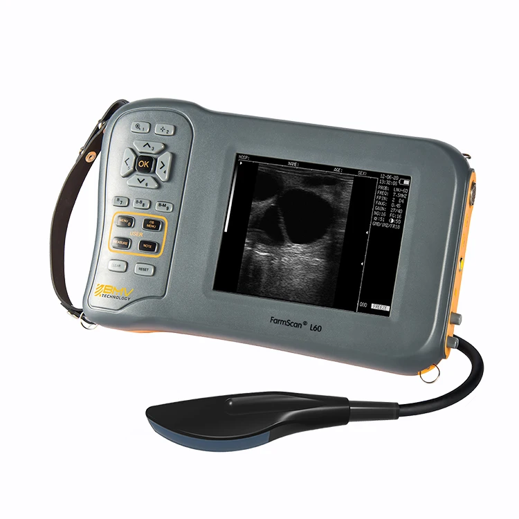 Handheld Portable Ultrasound Veterinary Equipment Equine Ultrasound for Veterinary Portable Pig Ultrasound for Pregnancy
Handheld Portable Ultrasound Veterinary Equipment Equine Ultrasound for Veterinary Portable Pig Ultrasound for Pregnancy