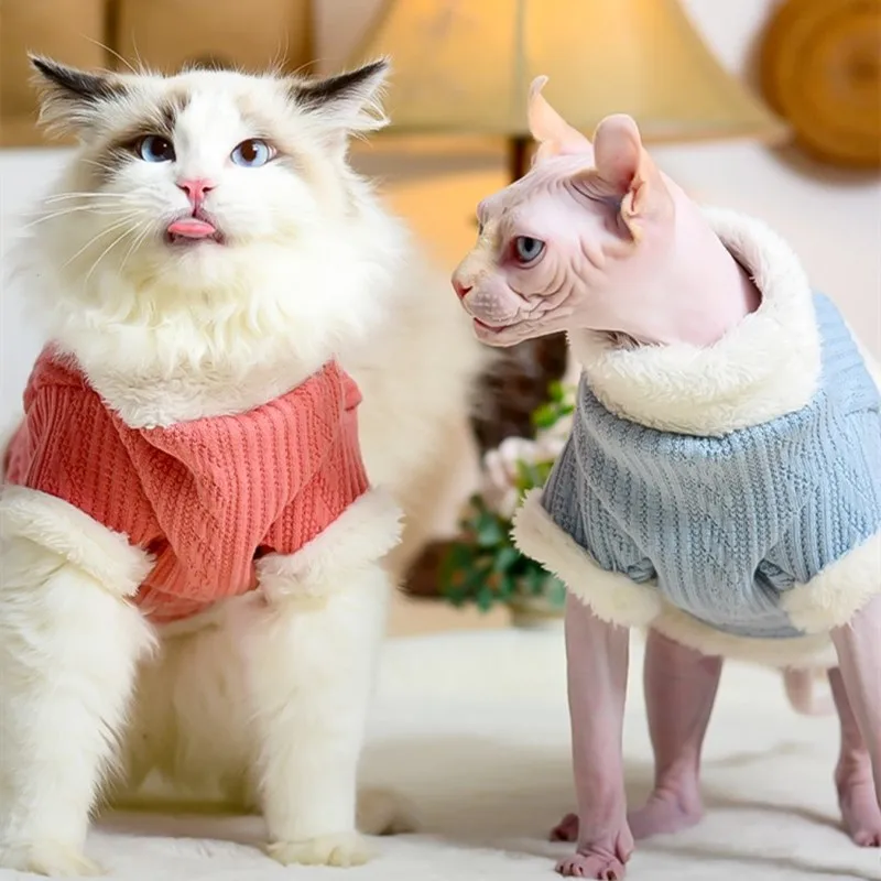 Devon Rex Thickening Lamb Wool Coat Cat Sweater Costume Sphynix Cat Clothes Sphynx Pullover Clothing Jacket for Winter Outwear
Devon Rex Thickening Lamb Wool Coat Cat Sweater Costume Sphynix Cat Clothes Sphynx Pullover Clothing Jacket for Winter Outwear