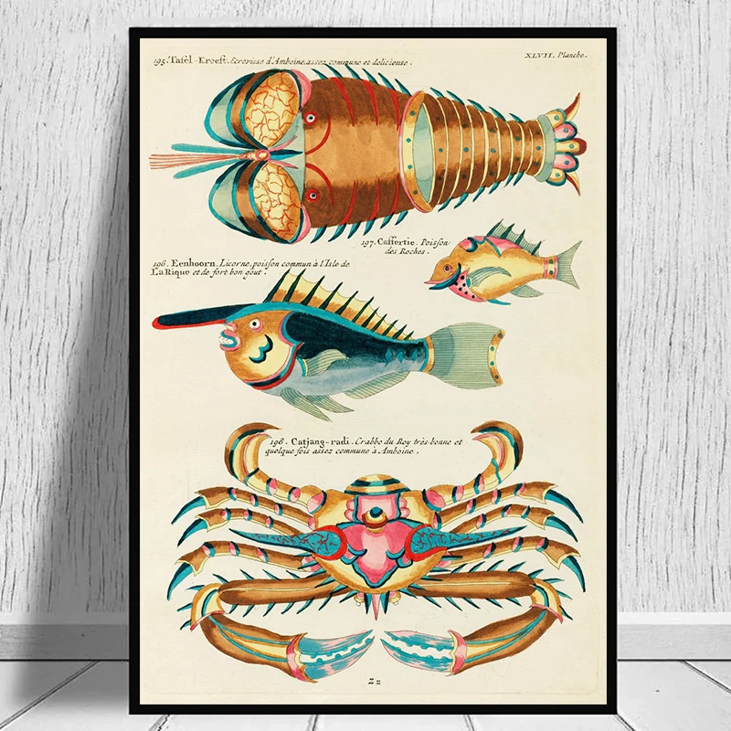 Винтажный рисунок морских животных, крабов, ядовитых рыбок, искусство на стену для кухни, комнаты, украшение для дома
Винтажный рисунок морских животных, крабов, ядовитых рыбок, искусство на стену для кухни, комнаты, украшение для дома