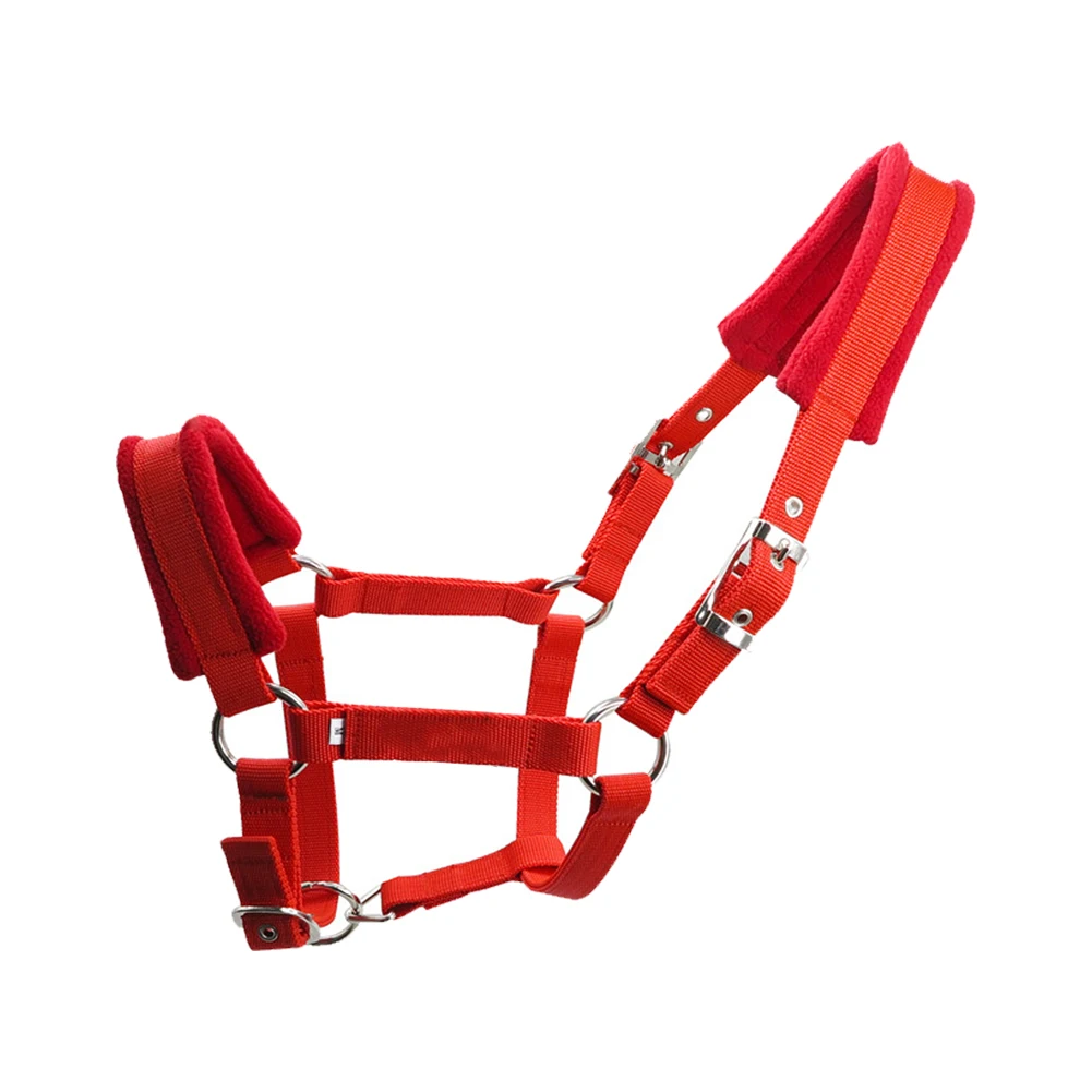 Sports Outdoor Fleece Padded Horse Halter Detachable Practical Double Layered Protective Multiple Sizes Durable Adjustable Strap
Sports Outdoor Fleece Padded Horse Halter Detachable Practical Double Layered Protective Multiple Sizes Durable Adjustable Strap