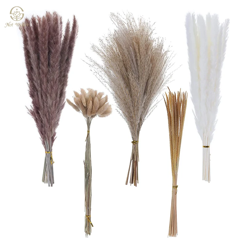 120PCS Pampas Grass Dried Flowers Bunny Tails Reed DIY Bouquet Boho Home Decor Wedding Party Supplies Office Desk Decoration
120PCS Pampas Grass Dried Flowers Bunny Tails Reed DIY Bouquet Boho Home Decor Wedding Party Supplies Office Desk Decoration