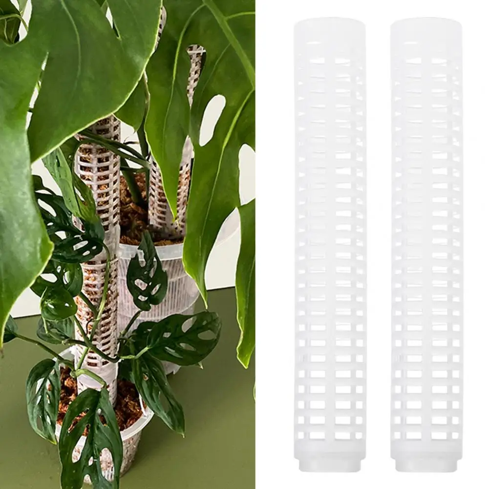 Plant Climbing Frame Simple Installation Long Lasting Moss Pole Potted Plant Sticks Support Extensio
Plant Climbing Frame Simple Installation Long Lasting Moss Pole Potted Plant Sticks Support Extensio