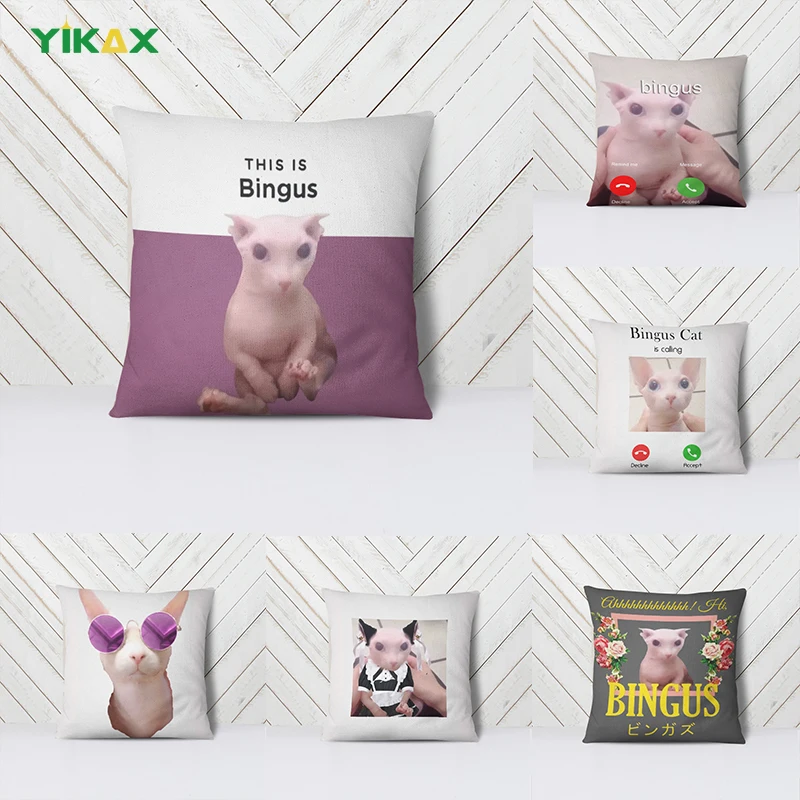 

Funny This Is Bingus Cat Pillow Cover Decorative Pillows for Sofa Living Room Bed Cushion Cover 45*45 Luxury Sofa Cushions