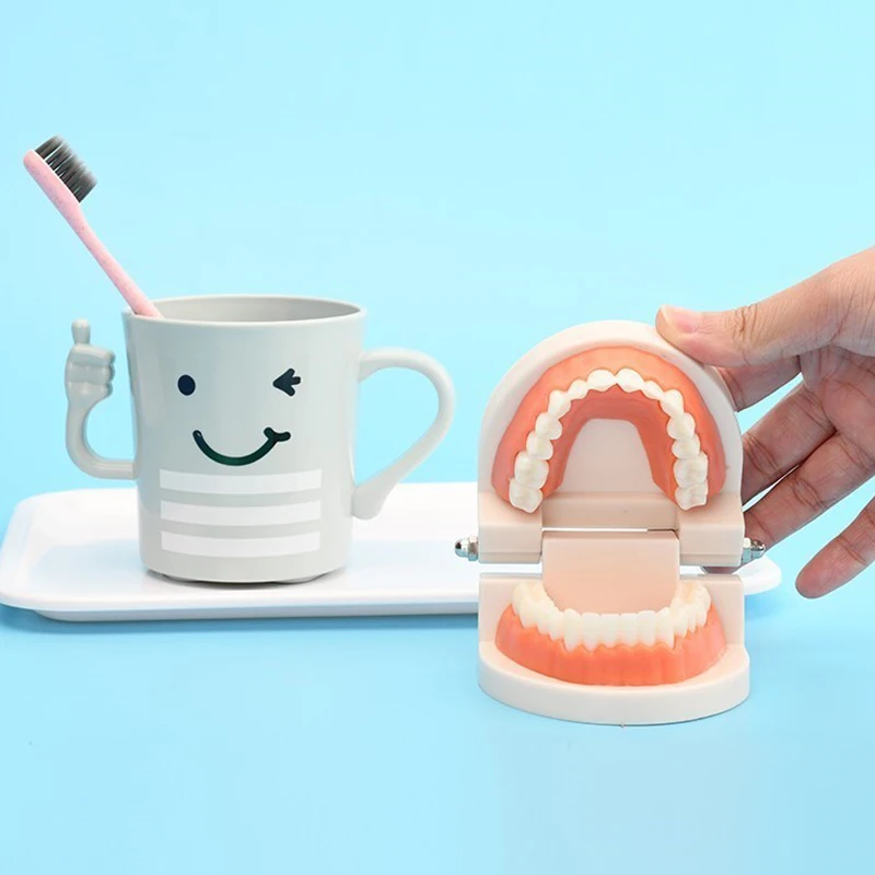 Kids Brush Teeth Dental Teaching Model Practical Life Toddler Baby Montessori Toys 1 2 3 Years развивающие игрушки
Kids Brush Teeth Dental Teaching Model Practical Life Toddler Baby Montessori Toys 1 2 3 Years развивающие игрушки