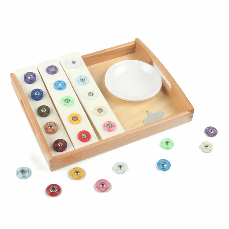 Montessori Material Button Color Training Cognition Game Sensory Play Children'S Montessori Material C64W
Montessori Material Button Color Training Cognition Game Sensory Play Children'S Montessori Material C64W