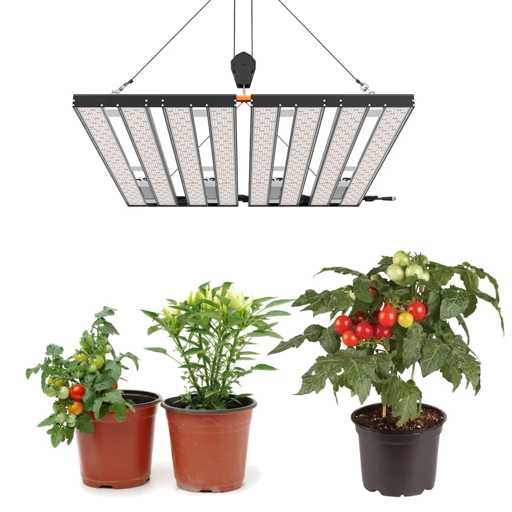 250w 500w 800w 1000w Hydroponics Growing System With Sumsung Chips Diammable Grow Light For Greenhouse
250w 500w 800w 1000w Hydroponics Growing System With Sumsung Chips Diammable Grow Light For Greenhouse