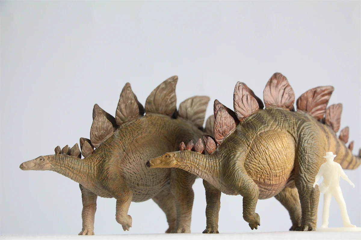 IN STOCK! Nanmu 1/35 Stegosaurus Pike Figure Stegosauridae Jurassic Dinosaur Collection Animal Model Toys Gift for Kids Adult
IN STOCK! Nanmu 1/35 Stegosaurus Pike Figure Stegosauridae Jurassic Dinosaur Collection Animal Model Toys Gift for Kids Adult