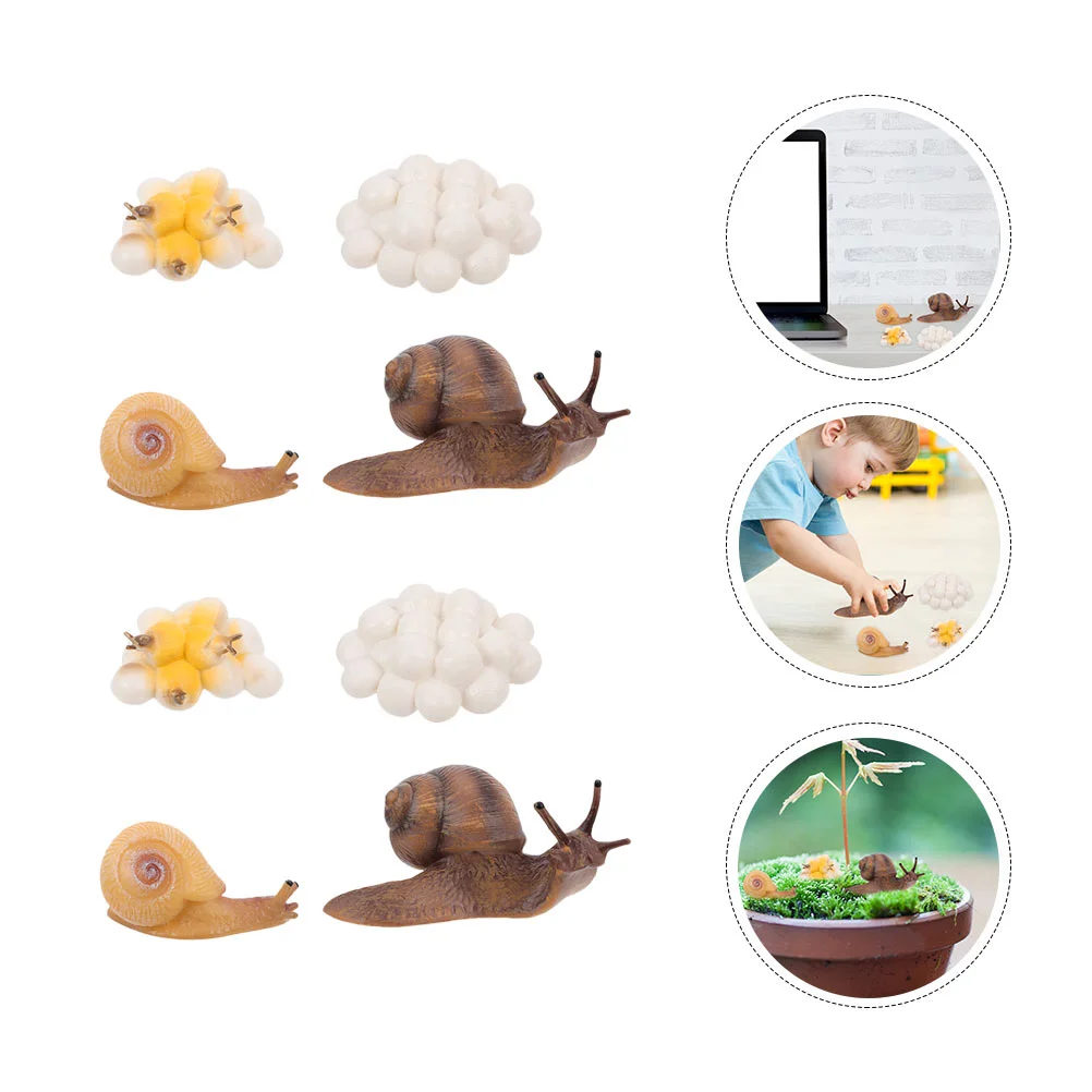 2 Sets Snail Life Cycle Figurines Children Toddlers Plastic Life Cycle Figurines
2 Sets Snail Life Cycle Figurines Children Toddlers Plastic Life Cycle Figurines