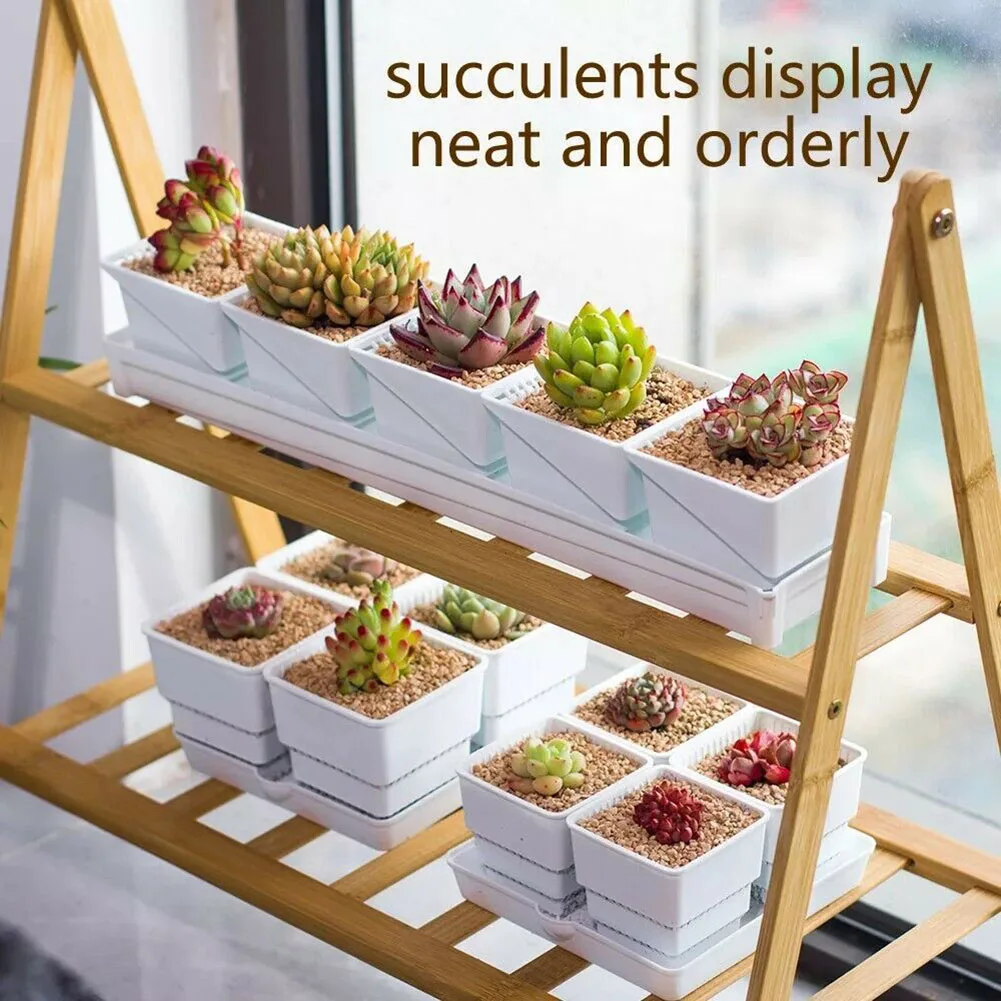 5/12 Pots With Tray Plastic Flower Pot Set Cactus Container Mesh Pot Tray Planting Nursery Box High Quality Nursery Pots
5/12 Pots With Tray Plastic Flower Pot Set Cactus Container Mesh Pot Tray Planting Nursery Box High Quality Nursery Pots
