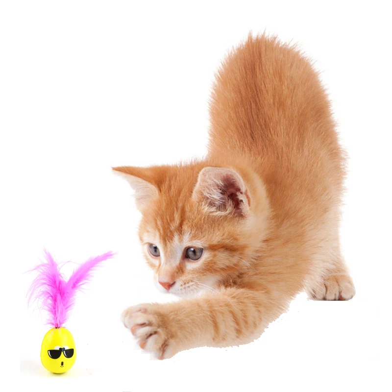 EVA Is Elastic and Non-breakable Material Yellow Pet Cat Tumbler Feather Expression Toy Funny Cat Cartoon Toy Pet Supplies
EVA Is Elastic and Non-breakable Material Yellow Pet Cat Tumbler Feather Expression Toy Funny Cat Cartoon Toy Pet Supplies