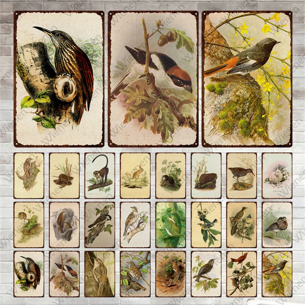 Birds Vintage Metal Plate Gardens Flowers Trees Decorative Tin Signs Animals Wall Pub Restaurant Home Farmhouse Vintage Decor
Birds Vintage Metal Plate Gardens Flowers Trees Decorative Tin Signs Animals Wall Pub Restaurant Home Farmhouse Vintage Decor