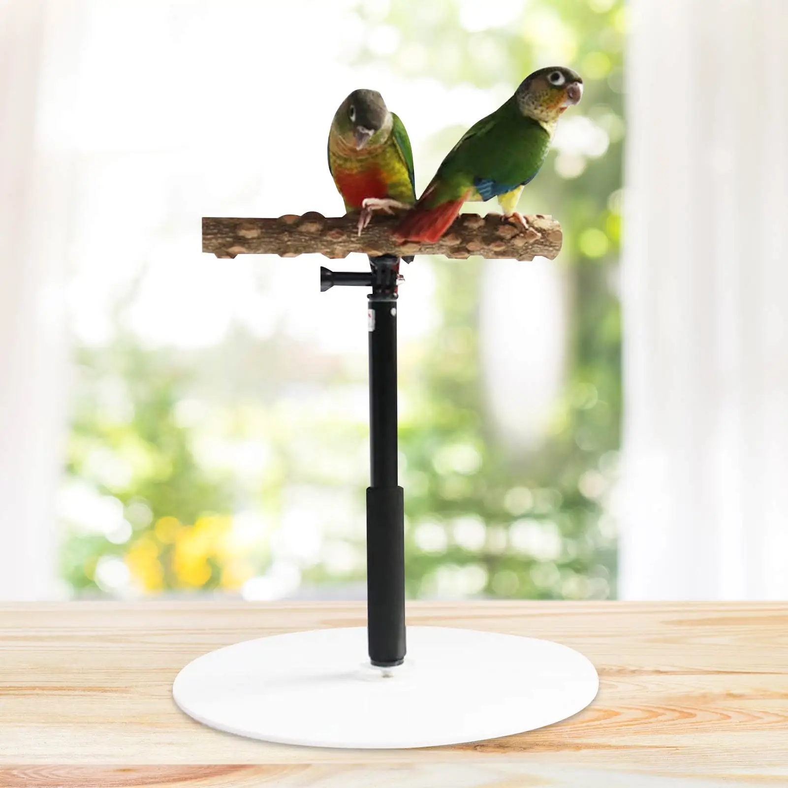 Parrot Desktop Stand Adjustable Pet Bird Training Stand Wooden Retractable Perch Rack For Parrots Parakeets Bird Desktop Toys
Parrot Desktop Stand Adjustable Pet Bird Training Stand Wooden Retractable Perch Rack For Parrots Parakeets Bird Desktop Toys