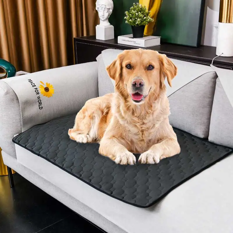 Pet cat and dog bed ice pad summer cold pad mesh breathable cooling bed pad washable kitten and puppy mattress pet supplies
Pet cat and dog bed ice pad summer cold pad mesh breathable cooling bed pad washable kitten and puppy mattress pet supplies