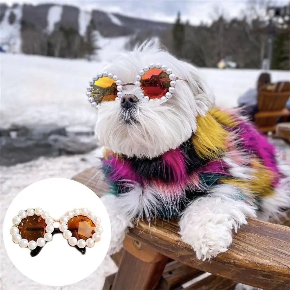 Fashion Lovely Pet Supplies Decoration Cat Sunglasses Pearl Glaesses Photos Props Dog Eye Wear
Fashion Lovely Pet Supplies Decoration Cat Sunglasses Pearl Glaesses Photos Props Dog Eye Wear