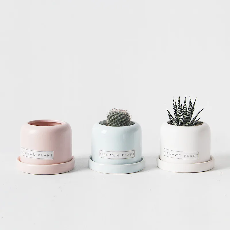 Simple Potted Office Bonsai Home Garden Decoration Nordic Style Ceramic Personality Succulents Pot Creative Flower Pot with Tray
Simple Potted Office Bonsai Home Garden Decoration Nordic Style Ceramic Personality Succulents Pot Creative Flower Pot with Tray