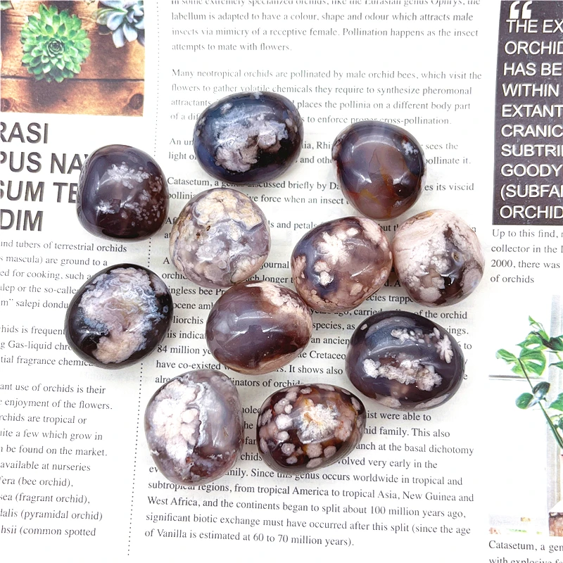 Красивый Редкий Натуральный Черный агат Сакура, агат, цветение вишни, уборочный камень, минеральный полированный неровный камень, 100 г
Красивый Редкий Натуральный Черный агат Сакура, агат, цветение вишни, уборочный камень, минеральный полированный неровный камень, 100 г