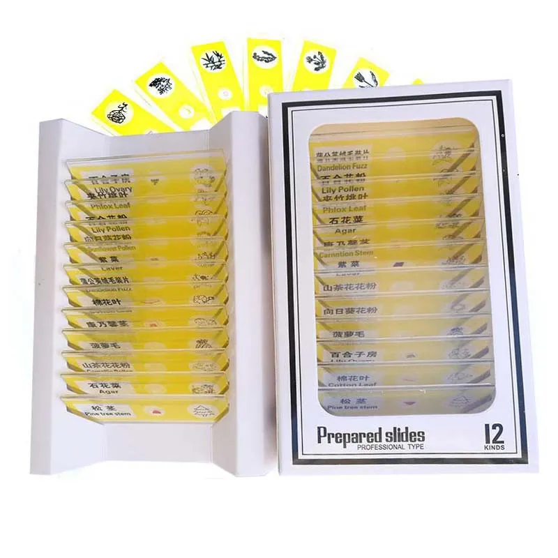 12pcs Yellow Flowers Educational Toy Plastic Prepared Microscope Specimen for Children Biological Microscope
12pcs Yellow Flowers Educational Toy Plastic Prepared Microscope Specimen for Children Biological Microscope