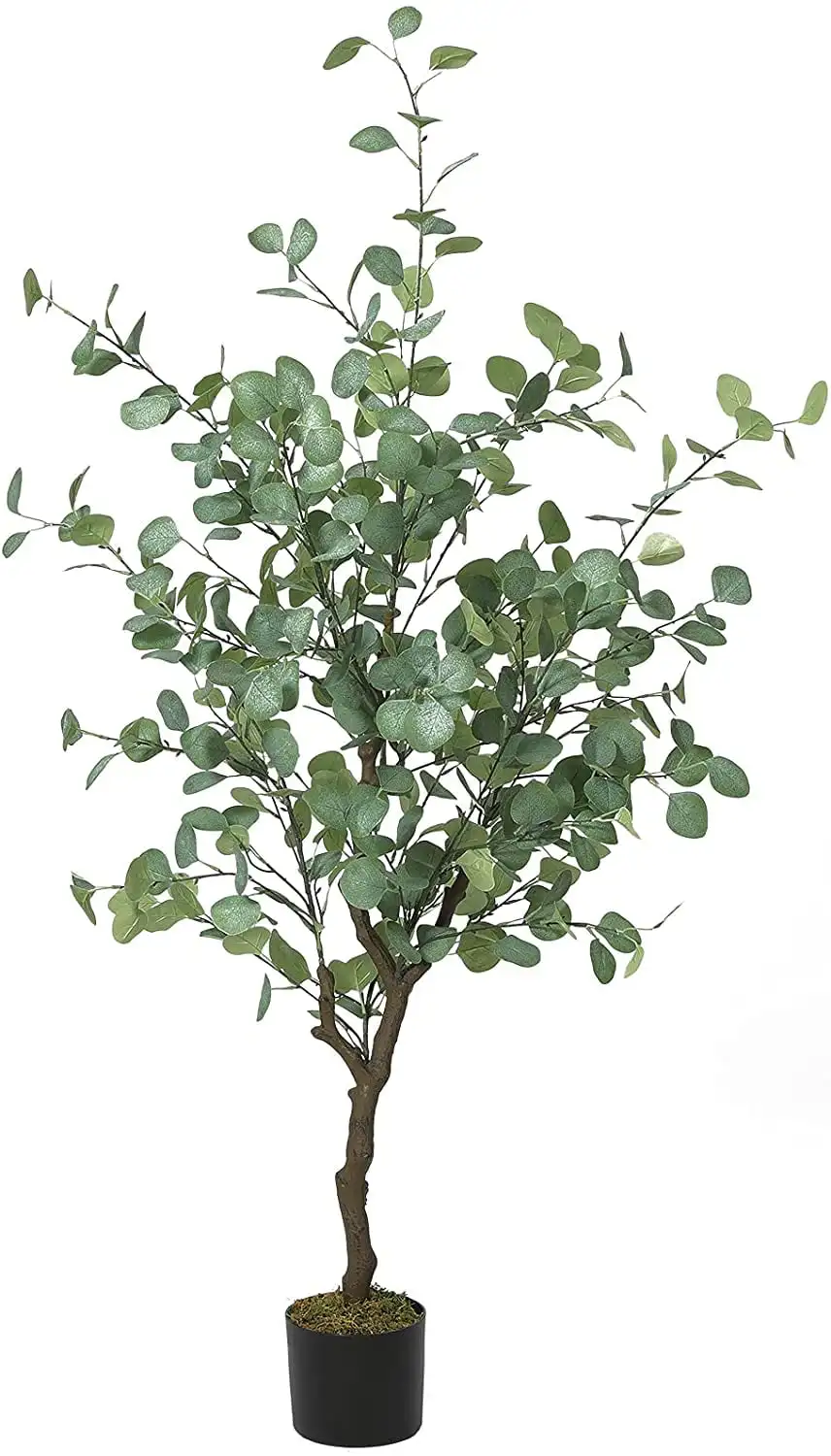 Eucalyptus Artificial Tree 5ft Tall 368 Silver Dollar Leaves, Modern Fake Plant Decor in Pot for Indoor Outdoor
Eucalyptus Artificial Tree 5ft Tall 368 Silver Dollar Leaves, Modern Fake Plant Decor in Pot for Indoor Outdoor