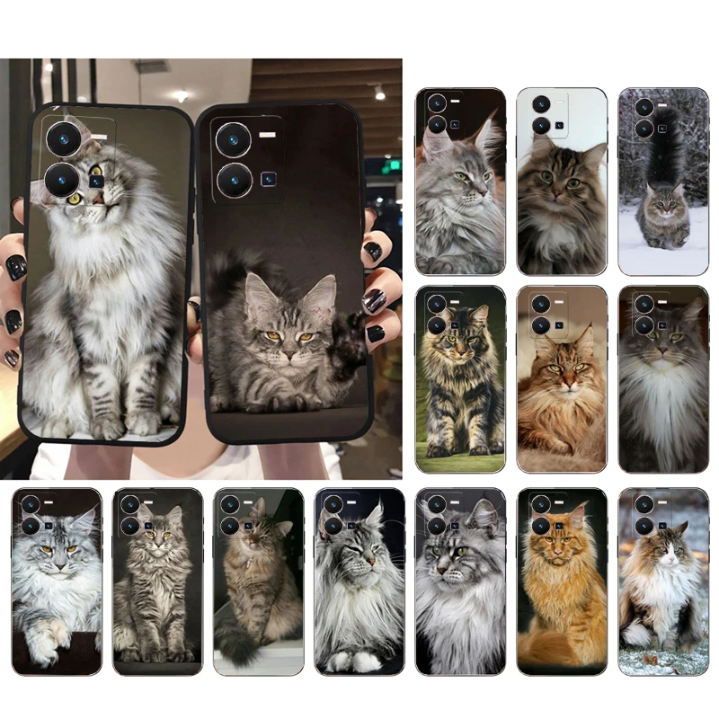 Maine Coon Cat Phone Case For VIVO Y53S Y33S Y22S Y11S Y31 Y21 Y70 Y20 Y21S Y72 Y35 Y51 Y01 V23E V21 V23 V21E Case 
Maine Coon Cat Phone Case For VIVO Y53S Y33S Y22S Y11S Y31 Y21 Y70 Y20 Y21S Y72 Y35 Y51 Y01 V23E V21 V23 V21E Case