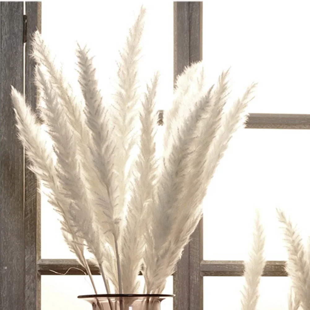 15pcs 60cm Pampas Grass Decoration Fluffy Wedding Arrangement Decoration Natural Phragmites Dried Flower Bouquet Boho Home Decor
15pcs 60cm Pampas Grass Decoration Fluffy Wedding Arrangement Decoration Natural Phragmites Dried Flower Bouquet Boho Home Decor