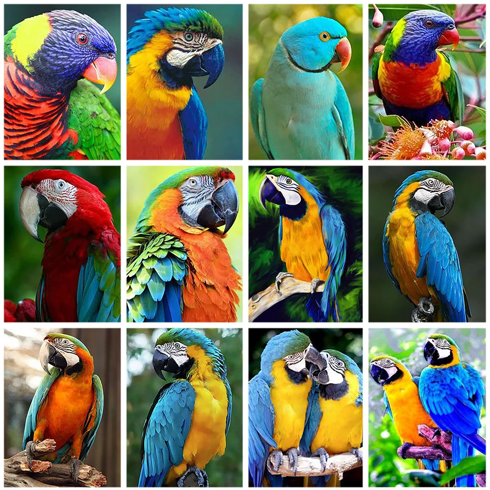 Diamond Mosaic Cross Stitch Bird Diamond Painting Round Drill 5D Beads Embroidery Rhinestones Pictures Home Decor
Diamond Mosaic Cross Stitch Bird Diamond Painting Round Drill 5D Beads Embroidery Rhinestones Pictures Home Decor