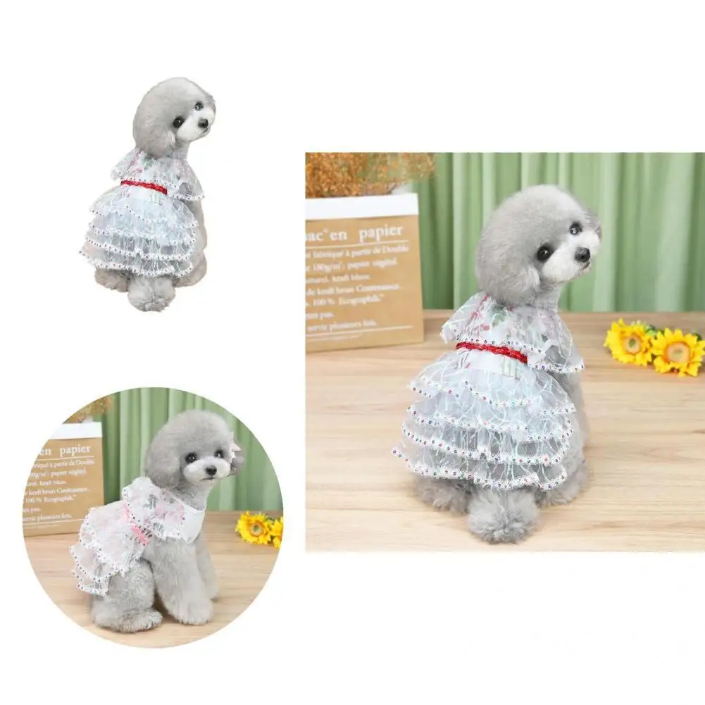 Pet Dress Stylish Summer Dog Two-legged Clothes Super Thin Non-sticky Hair Puppy Clothes
Pet Dress Stylish Summer Dog Two-legged Clothes Super Thin Non-sticky Hair Puppy Clothes