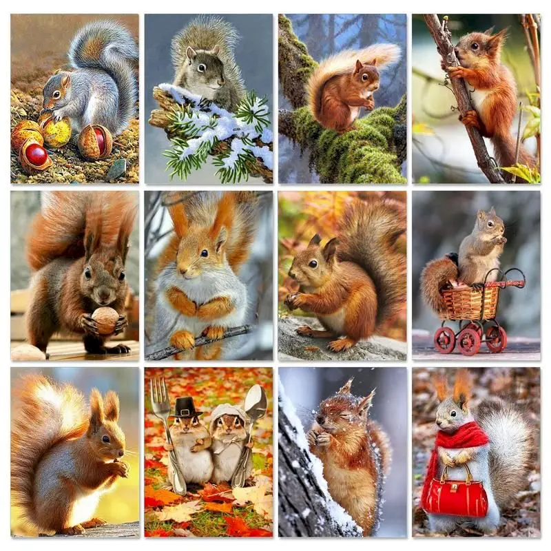 

GATYZTORY Frame Squirrel DIY Paint By Numbers For Adult Kit Animals On Canvas Oil Painting By Numbers Unique Gift Home Decors Ar