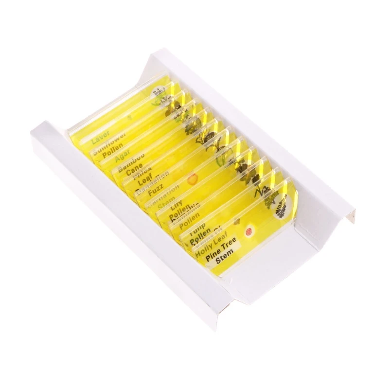12 Pcs Prepared Microscope Slides Set Specimen For Student Basic Biology Education
12 Pcs Prepared Microscope Slides Set Specimen For Student Basic Biology Education