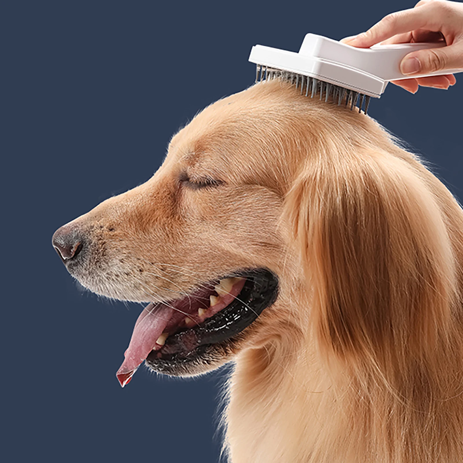 Dog Shedding Brush Self Cleaning Brush For Dogs And Cats Pet Grooming Brush Comb With Button Gently Removes Loose Undercoat Mats
Dog Shedding Brush Self Cleaning Brush For Dogs And Cats Pet Grooming Brush Comb With Button Gently Removes Loose Undercoat Mats