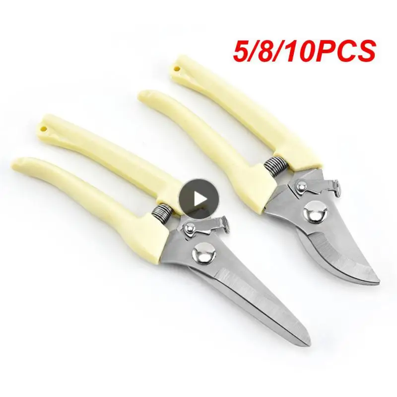 5/8/10PCS Garden Pruning Shears Easy To Use 17x.24.x8cm Fruit Cutting Light Multi-functional Design Garden Scissors Hand Tools
5/8/10PCS Garden Pruning Shears Easy To Use 17x.24.x8cm Fruit Cutting Light Multi-functional Design Garden Scissors Hand Tools