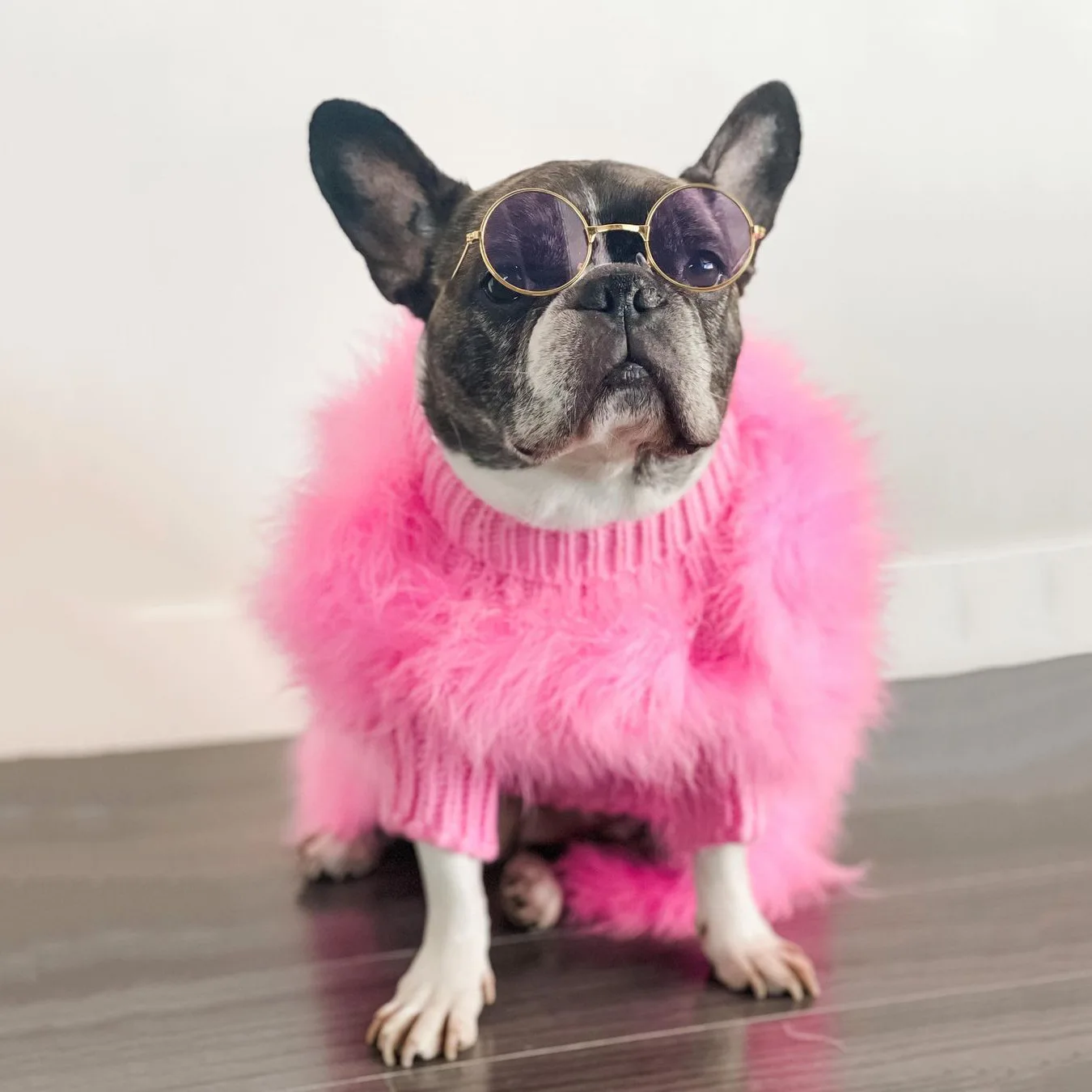 Luxurious Turkey Feather Soft Pet Clothes Winter Dog Sweater Designer Puppy Costume Chihuahua French Bulldog Clothes Supplies
Luxurious Turkey Feather Soft Pet Clothes Winter Dog Sweater Designer Puppy Costume Chihuahua French Bulldog Clothes Supplies