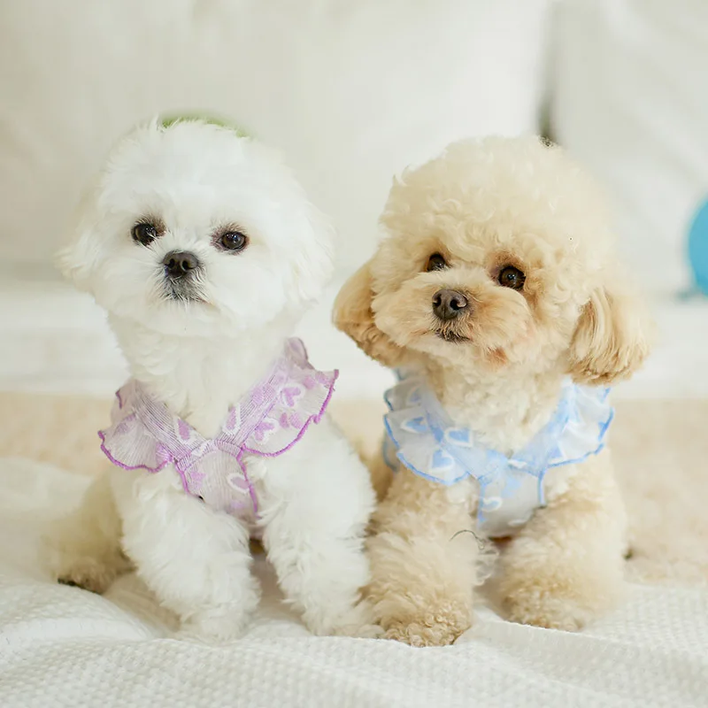 Dole Pet Fine Glitter Yarn Pet Dog Clothing Cat Dog Summer Fado Teddy Milk Dog Bear Clothing Pet Fashion Glitter Yarn
Dole Pet Fine Glitter Yarn Pet Dog Clothing Cat Dog Summer Fado Teddy Milk Dog Bear Clothing Pet Fashion Glitter Yarn