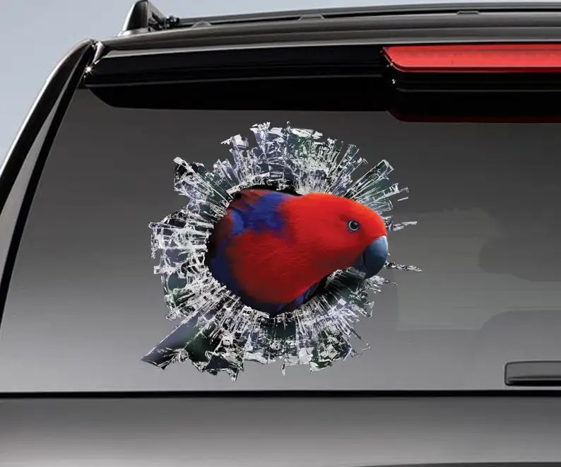 Red eclectus roratus window sticker, car sticker, parrot car decal, funny sticker, red eclectus
Red eclectus roratus window sticker, car sticker, parrot car decal, funny sticker, red eclectus