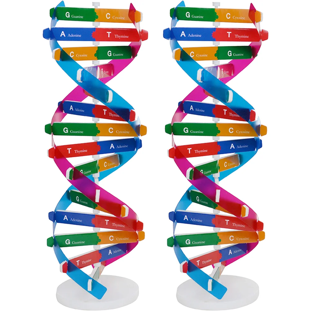 

Dna Model Teaching Science Aids Helix Tool Genes Double Molecular Educational Toy Models Learning Gene Biology Diy Kit