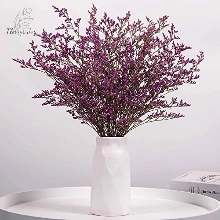 100g Eternal Limonium Lover Grass Preserved Dried Flowers for Living Room Decoration Pampas Bouquet Valentine's Wedding Decor
100g Eternal Limonium Lover Grass Preserved Dried Flowers for Living Room Decoration Pampas Bouquet Valentine's Wedding Decor