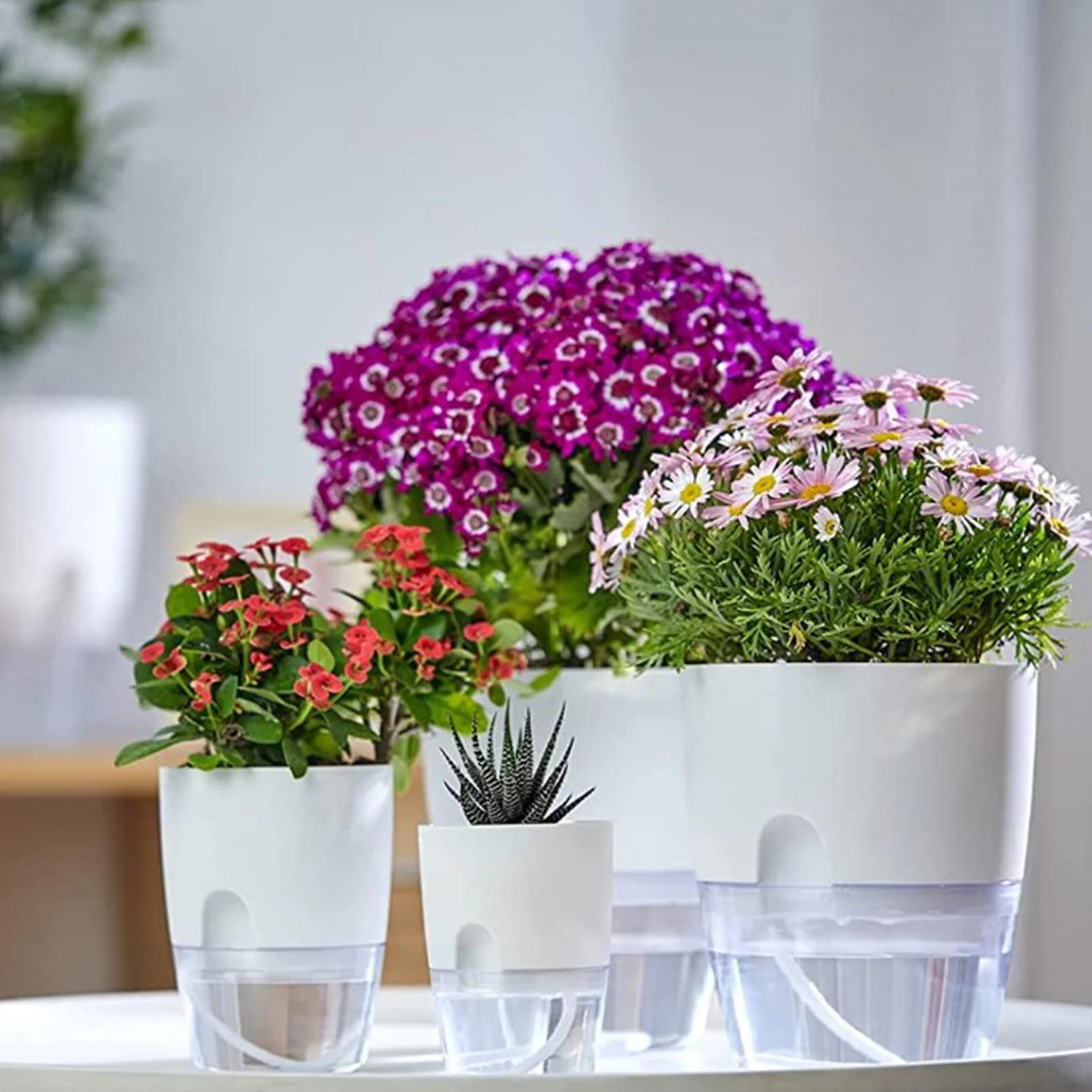 Indoor Planters Plant Pots Self Watering Plant Flower Pot Vase Water Container Plastics Flower Planter Indoor Outdoor Decor
Indoor Planters Plant Pots Self Watering Plant Flower Pot Vase Water Container Plastics Flower Planter Indoor Outdoor Decor