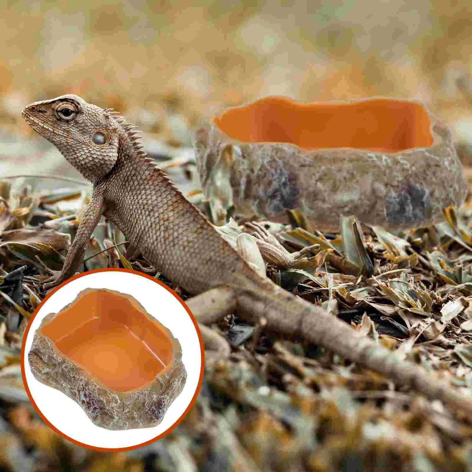 Reptile Feeding Bowl Resin Reptile Water Dish Food Bowl Reptile Food Water Dish for Lizard Tortoise Accessories Terrarium
Reptile Feeding Bowl Resin Reptile Water Dish Food Bowl Reptile Food Water Dish for Lizard Tortoise Accessories Terrarium