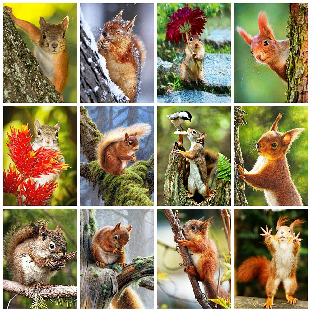 Full Round Drill 5D DIY Diamond Painting Squirrel Animals Diamond Embroidery Cross Stitch Kit Art Home Decoration
Full Round Drill 5D DIY Diamond Painting Squirrel Animals Diamond Embroidery Cross Stitch Kit Art Home Decoration