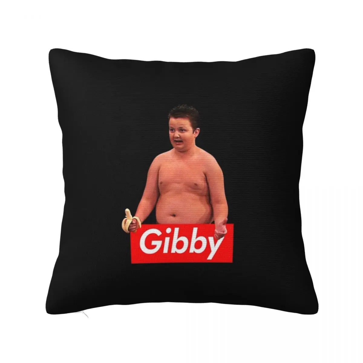 Gibby From Icarly Pillowcase Soft Fabric Cushion Cover Decoration Throw Pillow Case Cover Home Zippered 45X45cm
Gibby From Icarly Pillowcase Soft Fabric Cushion Cover Decoration Throw Pillow Case Cover Home Zippered 45X45cm