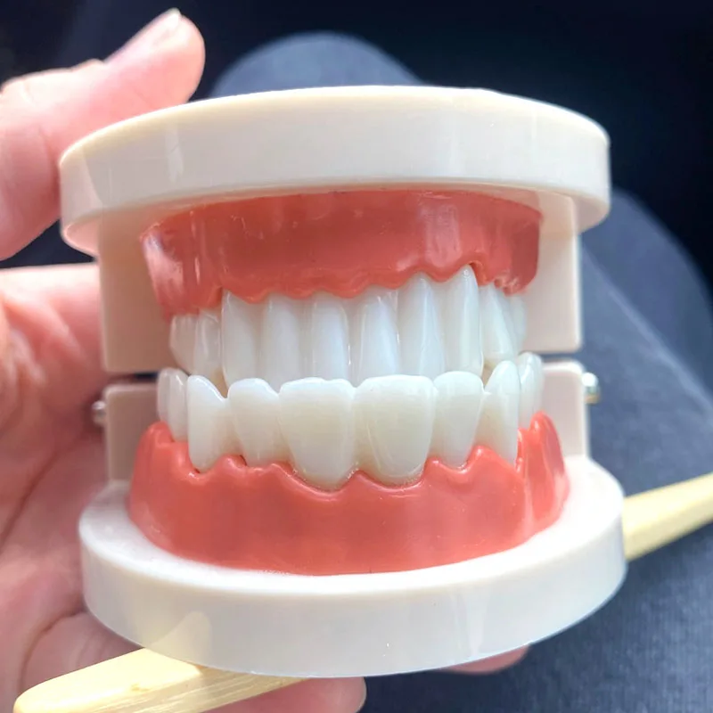 Montessori Educational Toys for Children Early Learning Kids Intelligence Brushing Tooth Teaching Aids Simulated Practical Life 
Montessori Educational Toys for Children Early Learning Kids Intelligence Brushing Tooth Teaching Aids Simulated Practical Life