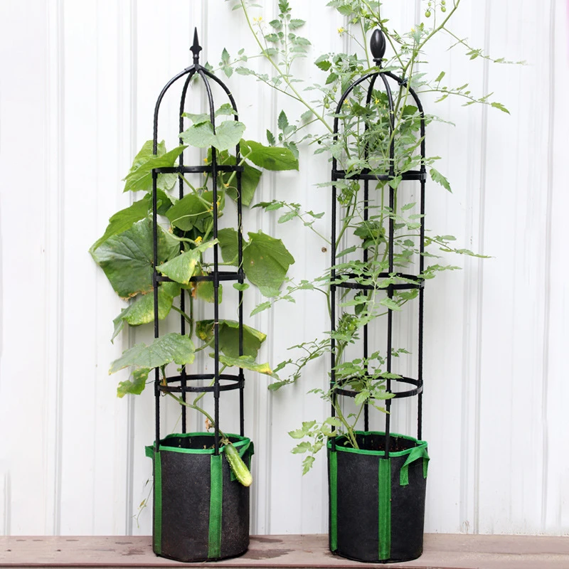 Garden Plant Obelisk Trellis Plant Support For Climbing Vines Flowers Stands Tower Trellis Stand For Garden And Vegetable Patch
Garden Plant Obelisk Trellis Plant Support For Climbing Vines Flowers Stands Tower Trellis Stand For Garden And Vegetable Patch