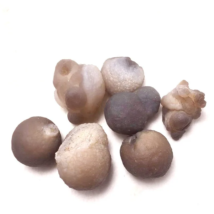 Wholesale Diffuser Oils Stone Natural Strange Shape Gobi Original Stone Agate Alien Natural Stone Collect Mineral Specimens
Wholesale Diffuser Oils Stone Natural Strange Shape Gobi Original Stone Agate Alien Natural Stone Collect Mineral Specimens