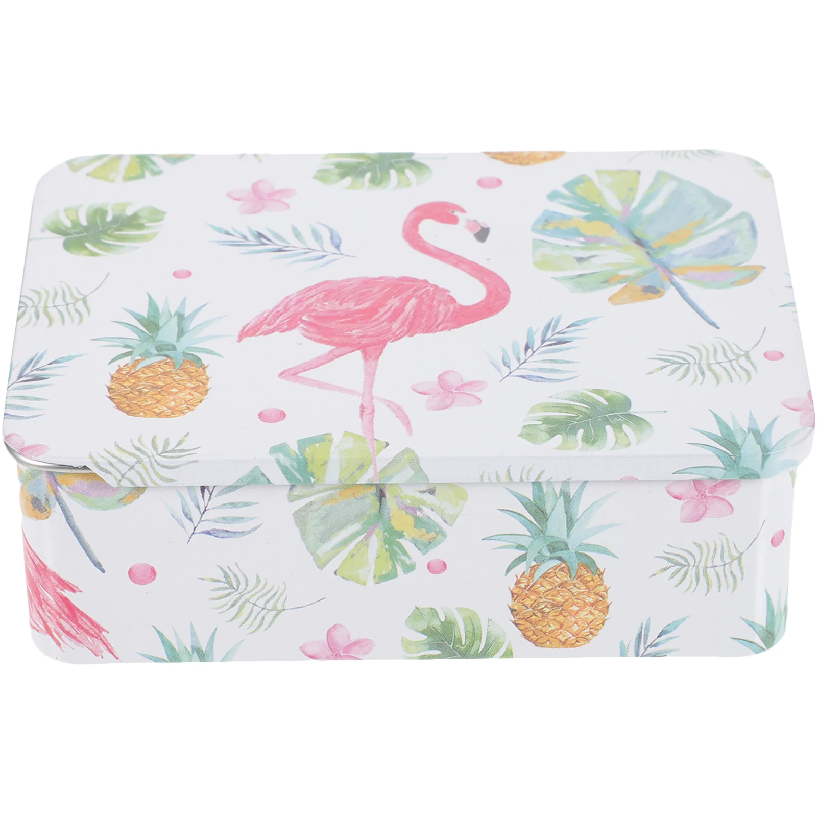 Medicine Storage Box Craft Organizer Small Storage Box With Lid Tinplate Containers Metal Small Objects Holder
Medicine Storage Box Craft Organizer Small Storage Box With Lid Tinplate Containers Metal Small Objects Holder