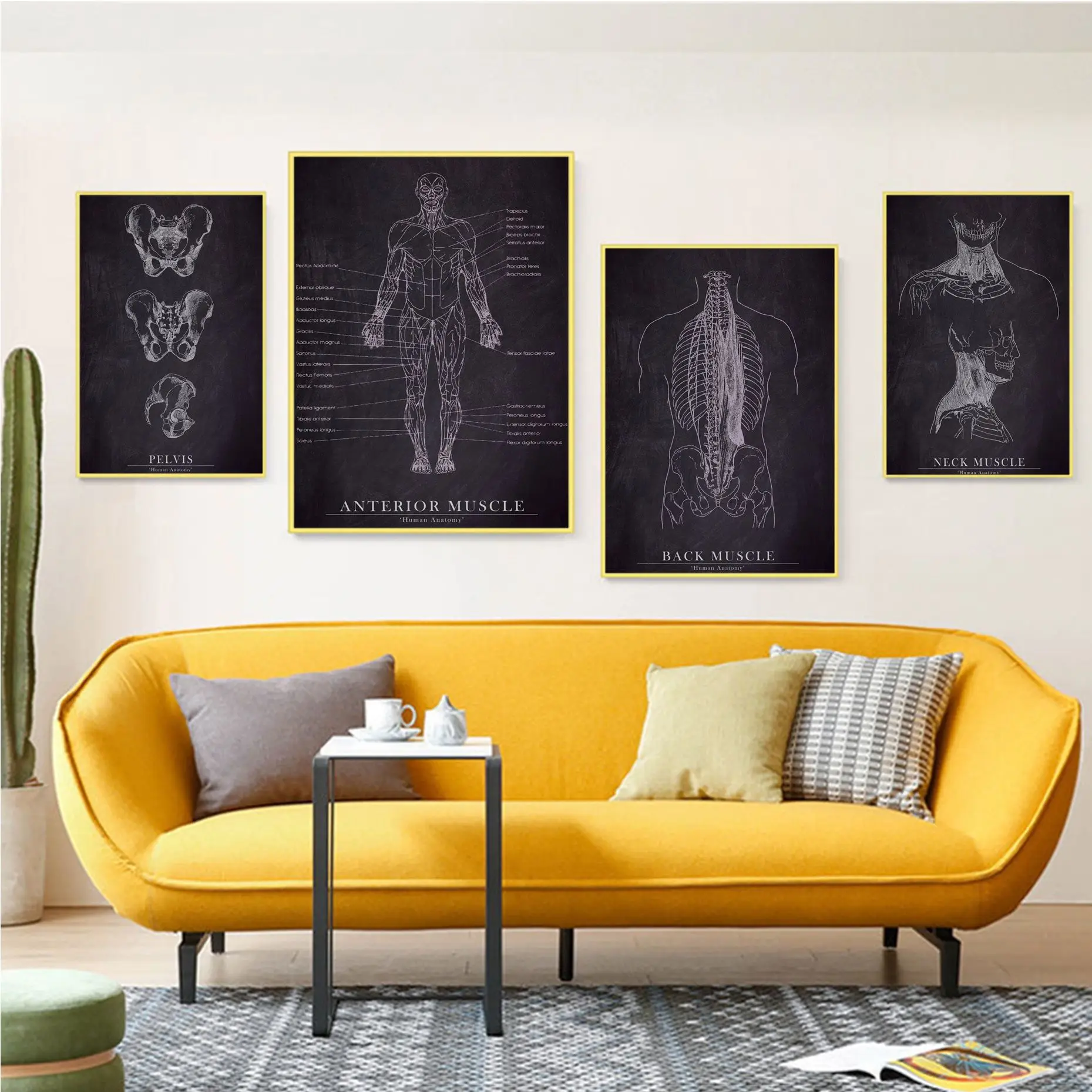 Anatomical Skeleton Classic Movie Posters HD Quality Poster Wall Art Painting Study Vintage Decorative Painting
Anatomical Skeleton Classic Movie Posters HD Quality Poster Wall Art Painting Study Vintage Decorative Painting