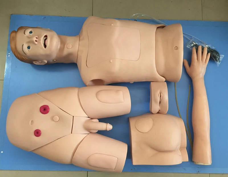 Advanced Basic Nursing Internship Operation Model
Advanced Basic Nursing Internship Operation Model