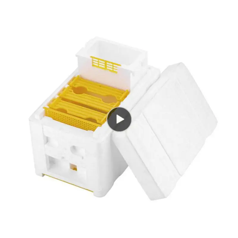 Mini Mating Pollination Box Breeding Feeder Toolbox Mating Kings Box Beekeeping Tools Foam Foam Beehive
Mini Mating Pollination Box Breeding Feeder Toolbox Mating Kings Box Beekeeping Tools Foam Foam Beehive