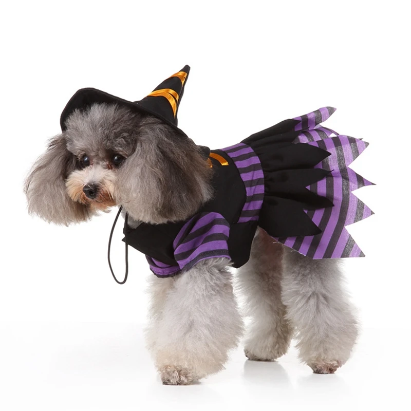 2023 New Pet Supplies Halloween Christmas Dog Clothes Alternative Pet Clothes Personalized Dress Up Large Dog Cape
2023 New Pet Supplies Halloween Christmas Dog Clothes Alternative Pet Clothes Personalized Dress Up Large Dog Cape